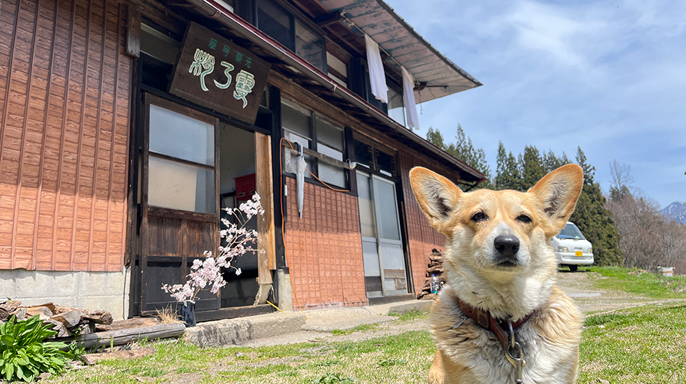 何もない”という豊かさをこの場所で